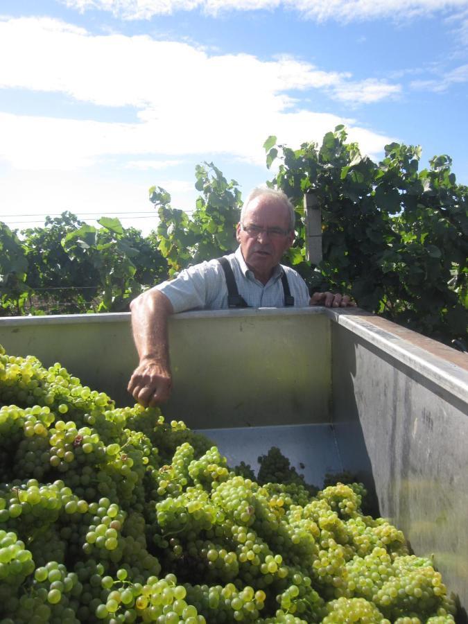 伊尔米茨Winzerhof Michael Gartner住宿加早餐旅馆 外观 照片